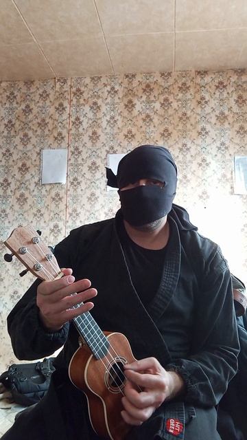 Very Nordic Ninja: Duck (04.04.2025) Крайне Северный Ниндзя: Утка #VeryNordicNinjaAcousticGuitarArt