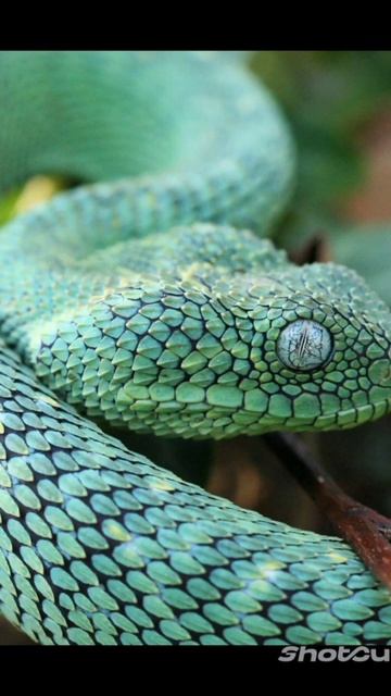 подпишись😍😍😍😍😍 смотреть онлайн