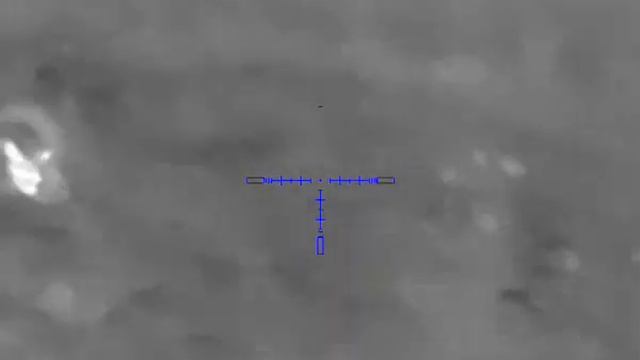 Охота на лис с Leader TWS 6 смотреть онлайн