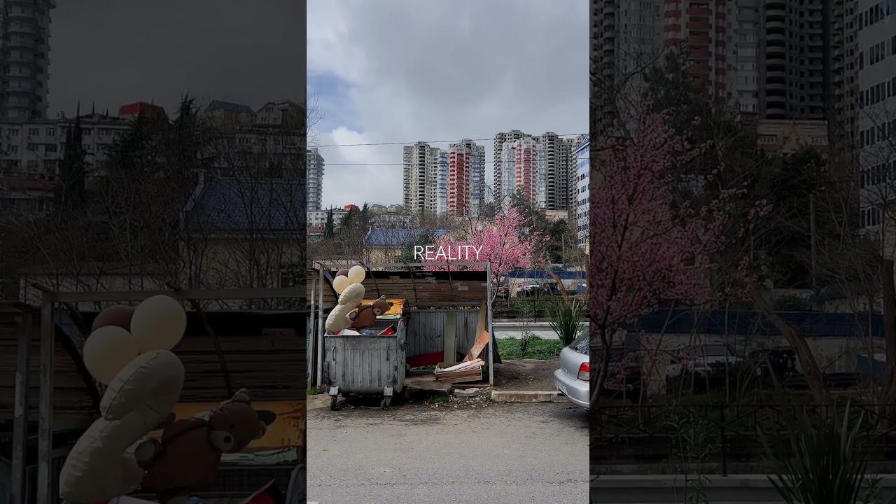 Красивое вокруг тебя. Просто присмотрись ✨ #reailty смотреть онлайн