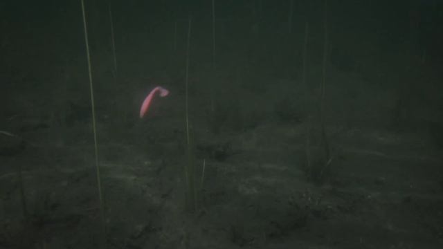 Lucky John Joco Shaker смотреть онлайн