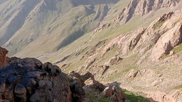 Козы и овцы пастбище🐐🐐🐑🐑🐏 смотреть онлайн