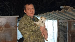 Каждое утро пересчитываю НУТРЯТ. На хозяйстве с Туманом. 31.03.25