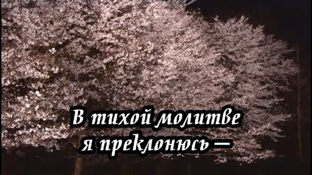 Ксения Лапицкая - Ближе_ всё ближе смотреть онлайн