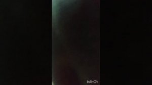 Замена лампы З.Х. Opel Zafira B