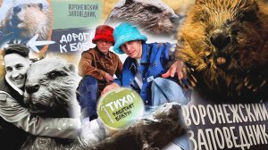 "SLAVA SKRIPKA" в доме Бобра: Как мы ездили в Воронежский заповедник в гости к Бобрам.