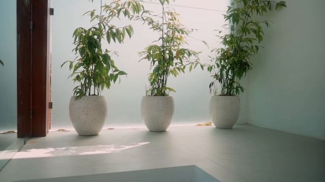 Самая инстаграмная вилла в Убуде за 280.000$