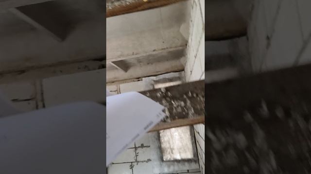 7287062438 смотреть онлайн