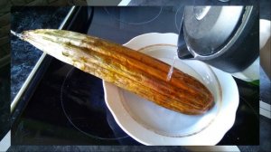 Как сделать мочалки из люффы. Выращивание люффы в Подмосковье.