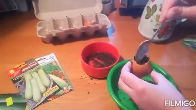 Садим кабачки в шкарлупе от яиц. Простой и недорогой способ вырастить хорошую рассаду🌱 смотреть онлайн