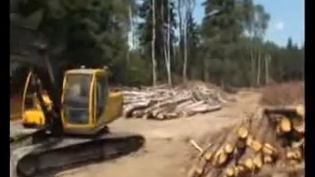 Задержана лидер защитников Химкинского леса смотреть онлайн