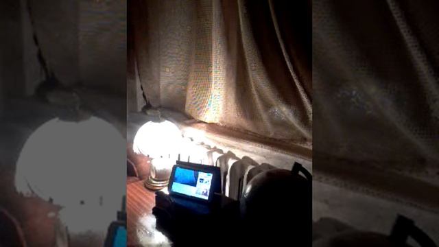 привет креосану и вульфу у шали антэна не роботает смотреть онлайн