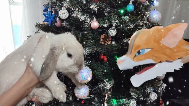Sofit Sun Congratulations On 2023. Year Of The Rabbit.