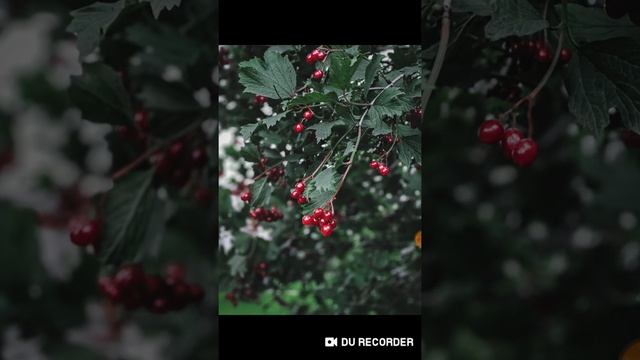 Сказание о родной земле.Стихотворение любителськое. смотреть онлайн