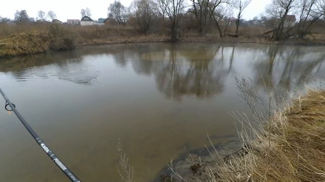 Микроджиг 1 января 2018 года