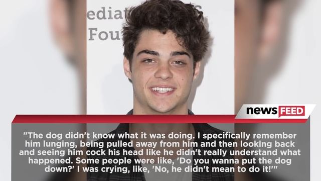 The SCARY Way Noah Centineo Got the Scar on His Face смотреть онлайн