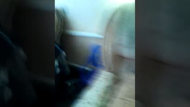 Леди Бак и супер Кот смотреть онлайн