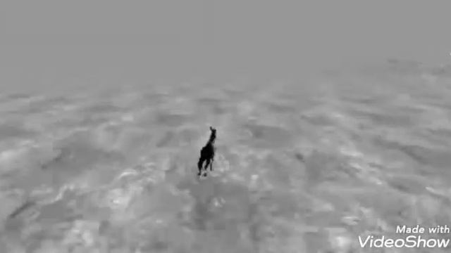 Хорся°^°Вот ещё один видосик по Лошадкам онлайн) смотреть онлайн