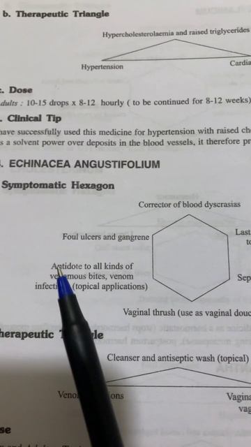 Mother tinctures 🫡😇 Echinacea #viral #shorts #viralshort #shortsvideo #homoeopathy смотреть онлайн