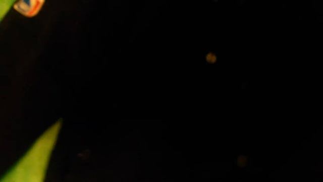 Обзор на мою кофту лэйкерс смотреть онлайн