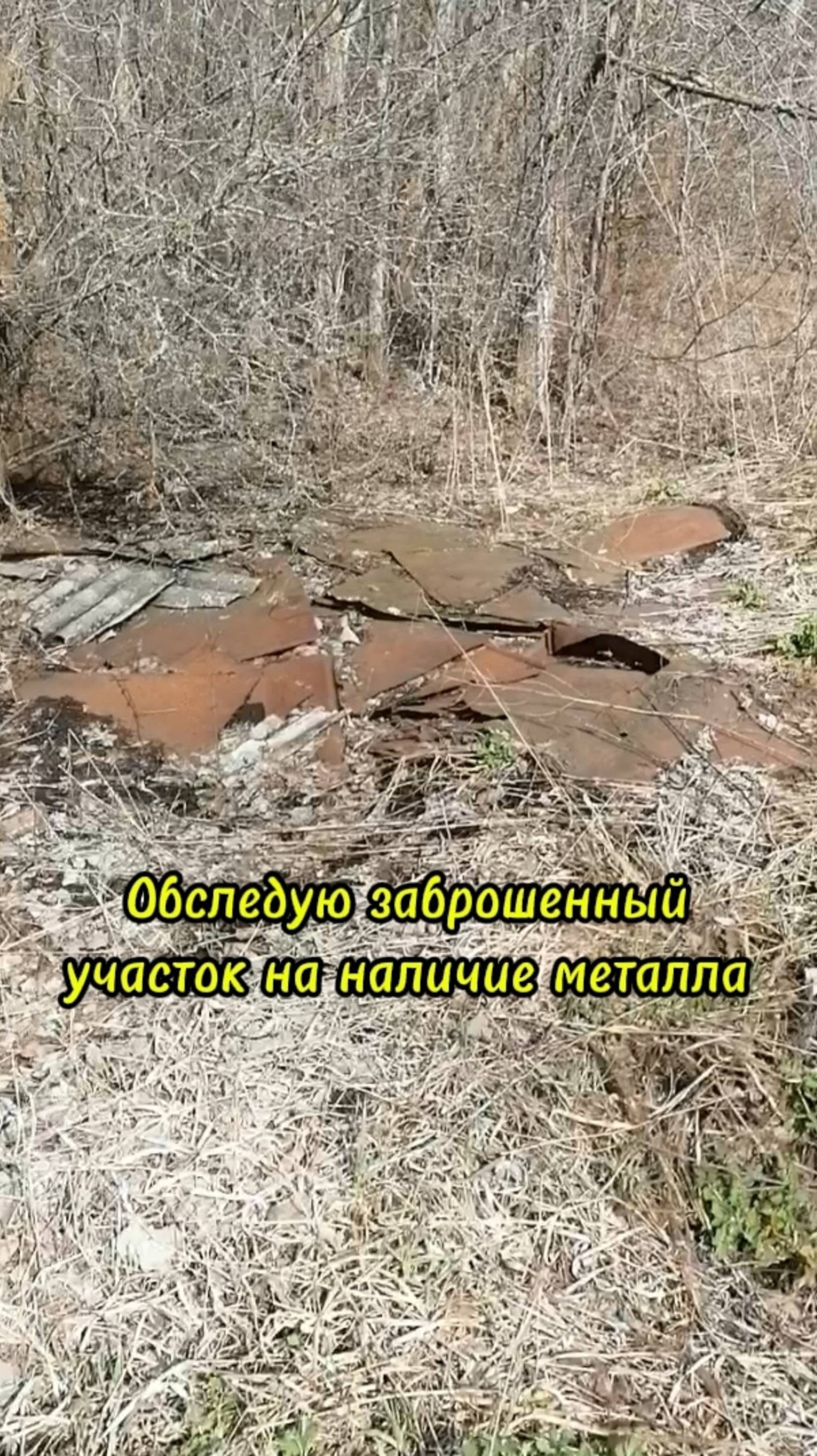 Обследую заброшенный участок. И что же я там обнаружил? Металлокоп. смотреть онлайн
