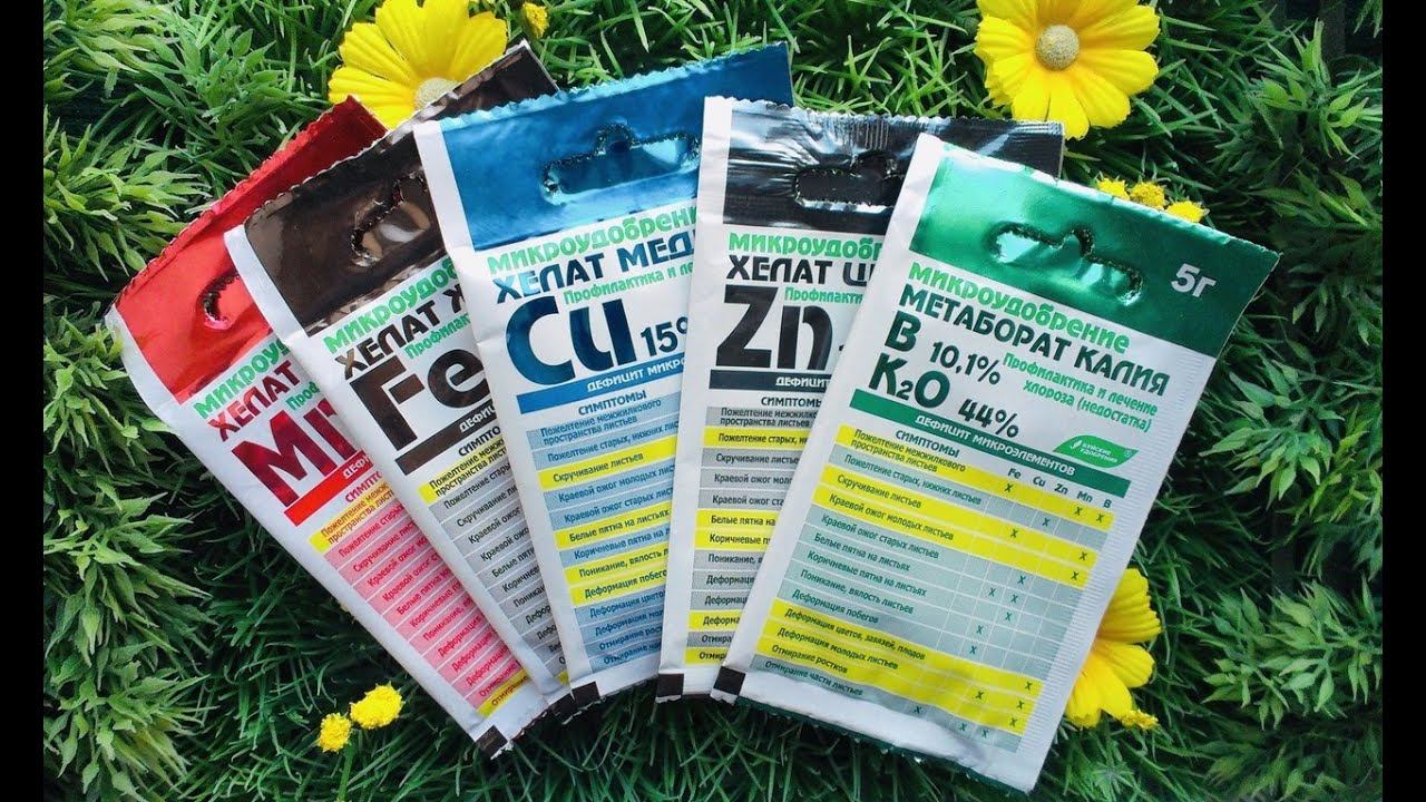 МИКРОэлементы для МАКРОурожая смотреть онлайн