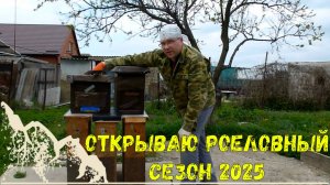 Охота на пчел сезон 2025