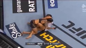 Аманда Нуньес против Джулианна Пенья