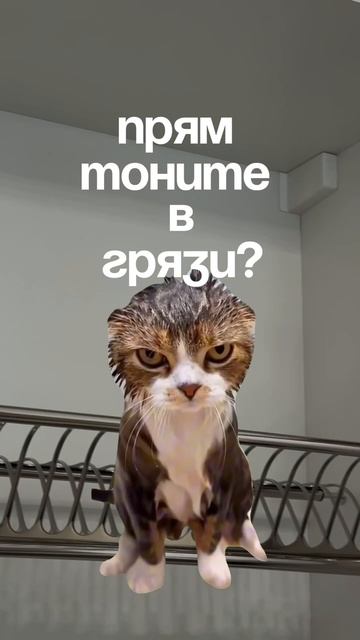 Самая дорогая уборка смотреть онлайн