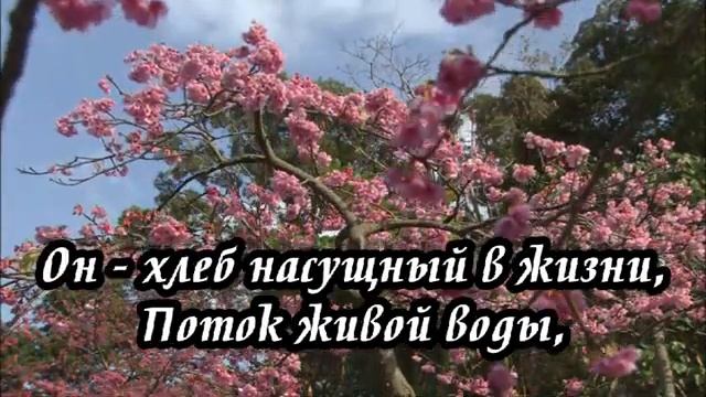 Ксения Лапицкая - Мой Бог мне жизни сила смотреть онлайн