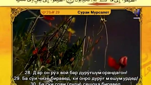 077 Сураи МУРСАЛОТ