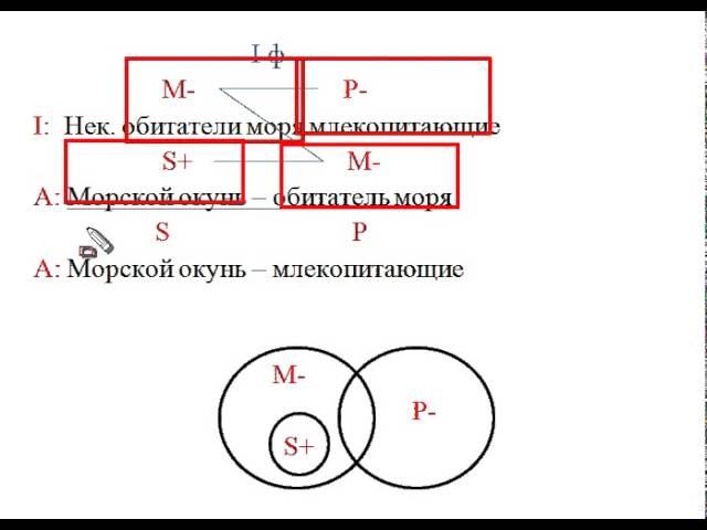 Практикум силлогизмы смотреть онлайн