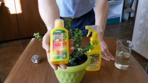 "Цветочный рай" Универсальный - комплексное удобрение для подкормок ваших любимых растений.