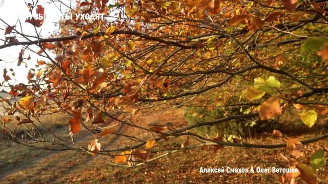 МУЗЫКАНТЫ УХОДЯТ (Алексей Смехов & студия "ПОРА") смотреть онлайн