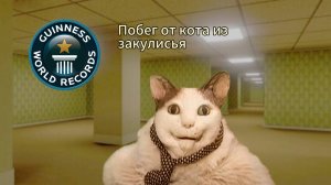 Побег от Кота бу испугался🏆 Мировой рекорд?🌍