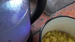 ПОДКОРМКА для  рассады КУКУРУЗЫ  : Картофельная   ПОДПИШИСЬ