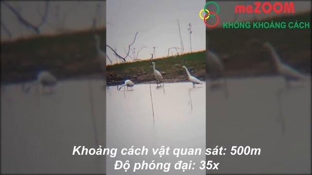 Trải nghiệm siêu phẩm ống nhòm Celestron Ultima 65 chính hãng смотреть онлайн