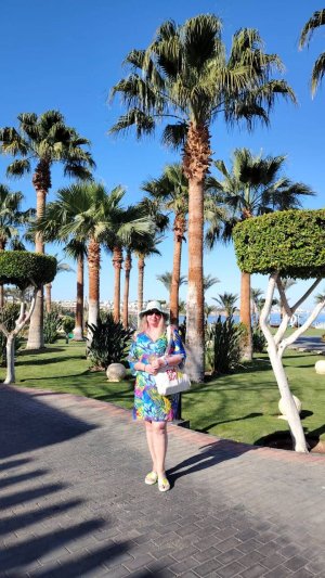 видео от моих туристов Fun&sun Family Sultan Gardens 5 обзор территории отеля, про отель в описании