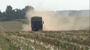 Уборка кукурузы в Жаденах,  Новым CLAAS Jaguar 870, John Deere 8420, МТЗ 2022.3, MAZ