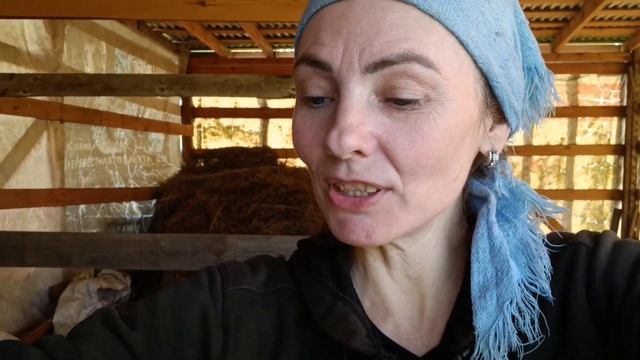 Спасаем козу.Хотела всё забросить.Вернулась из за вас смотреть онлайн