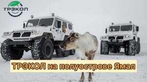 Институт экологии, растений и животных УрО РАН (Лабытнанги)