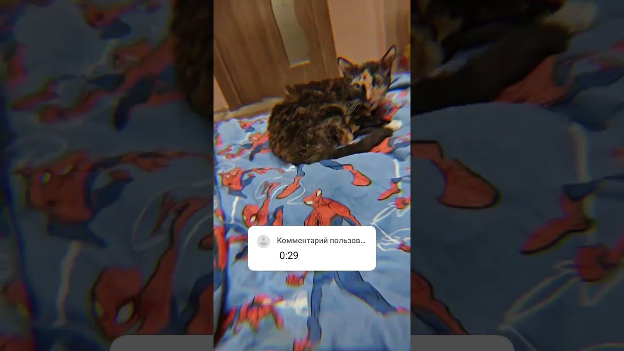 25 января 2024 г. смотреть онлайн