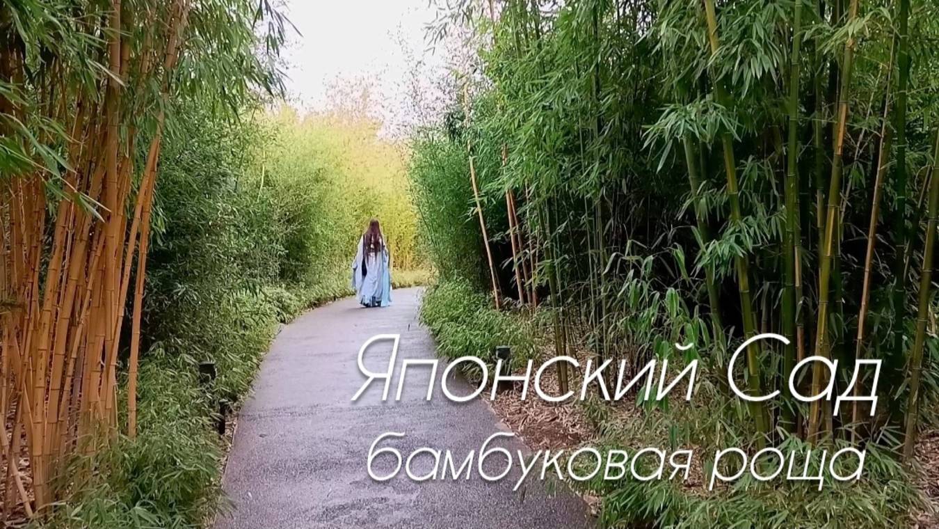 Краснодар. Японский Сад. Бамбуковая роща. смотреть онлайн