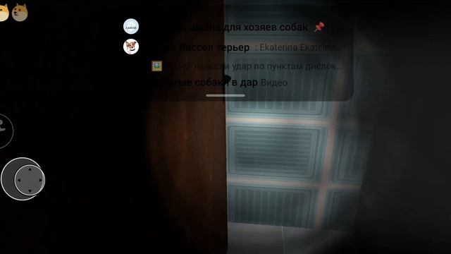 Страшная игра про собаку смотреть онлайн
