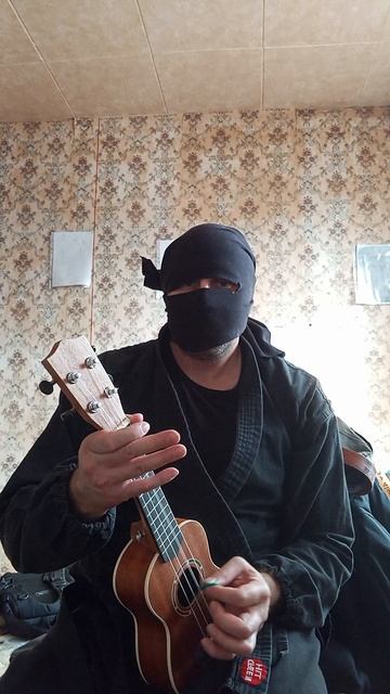 Крайне Северный Ниндзя: Утка (07.04.2025) Very Nordic Ninja: Duck #VeryNordicNinjaAcousticGuitarArt