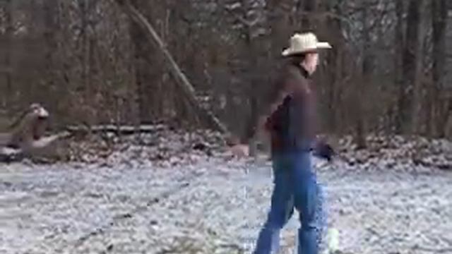 2010 Crack that whip.wmv смотреть онлайн