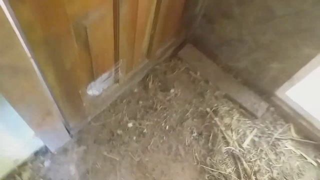 Уборка и дезинфекция курятника, птичника.