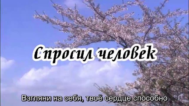 Ксения Лапицкая - Спросил человек смотреть онлайн