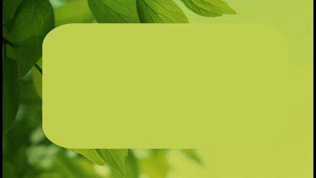12 принципов феи подсознания смотреть онлайн