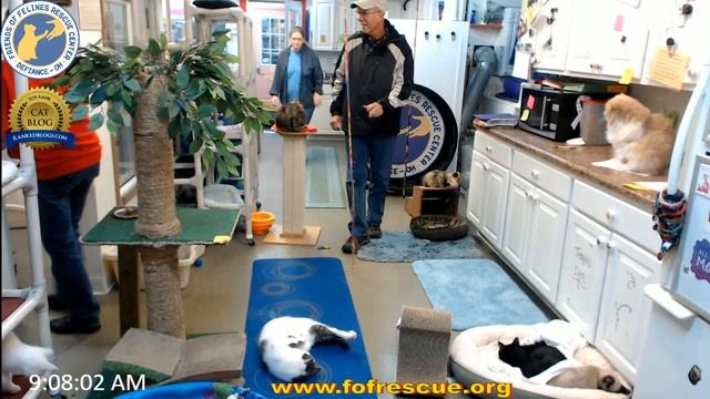 FFRC Double Adoption of Snowy and Rita on 1/21/2018 смотреть онлайн